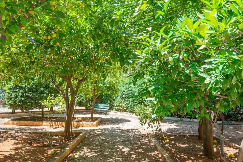 Voula'S Secret Garden Studio Атина Екстериор снимка